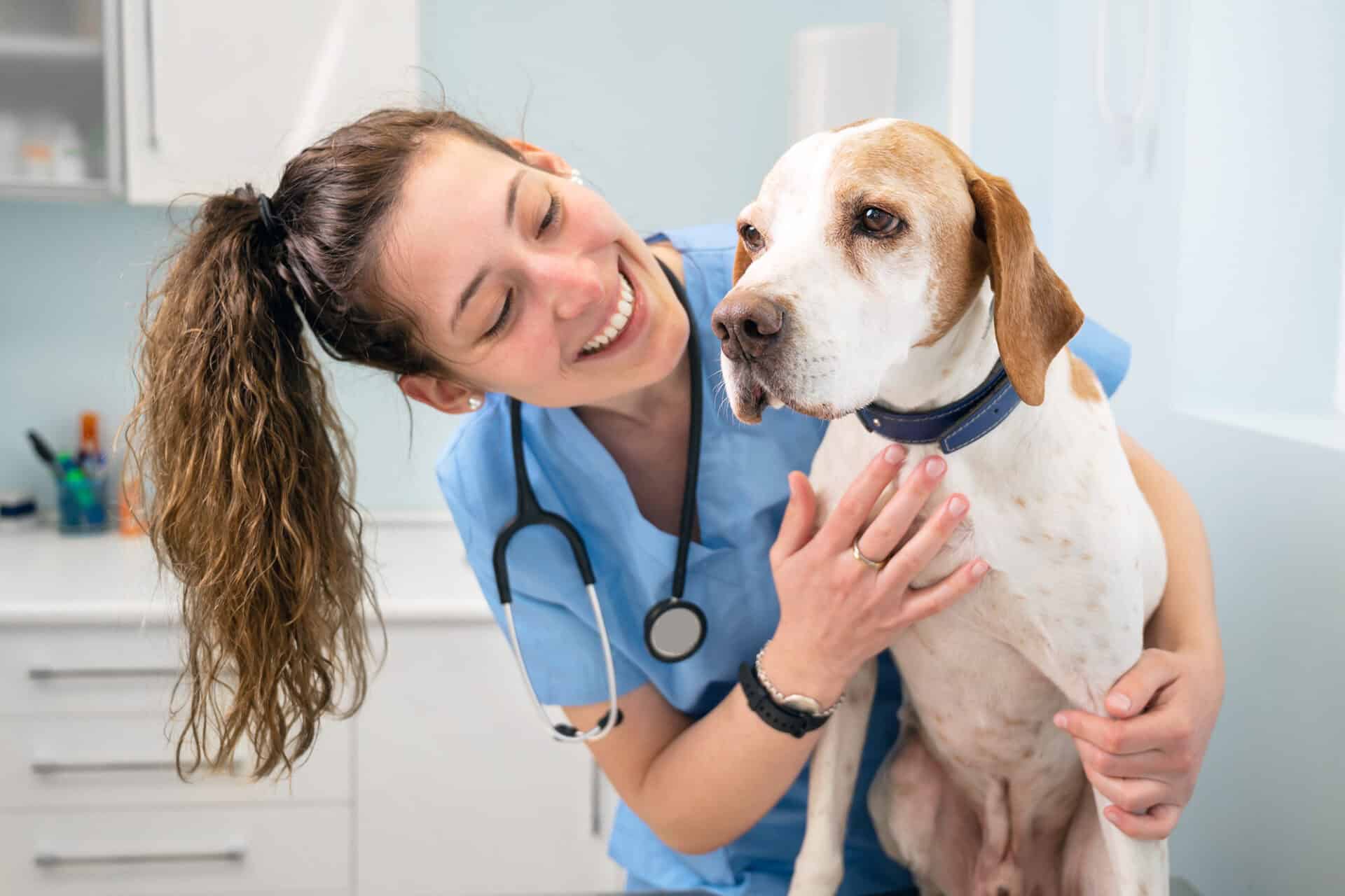 veterinary nurse training courses