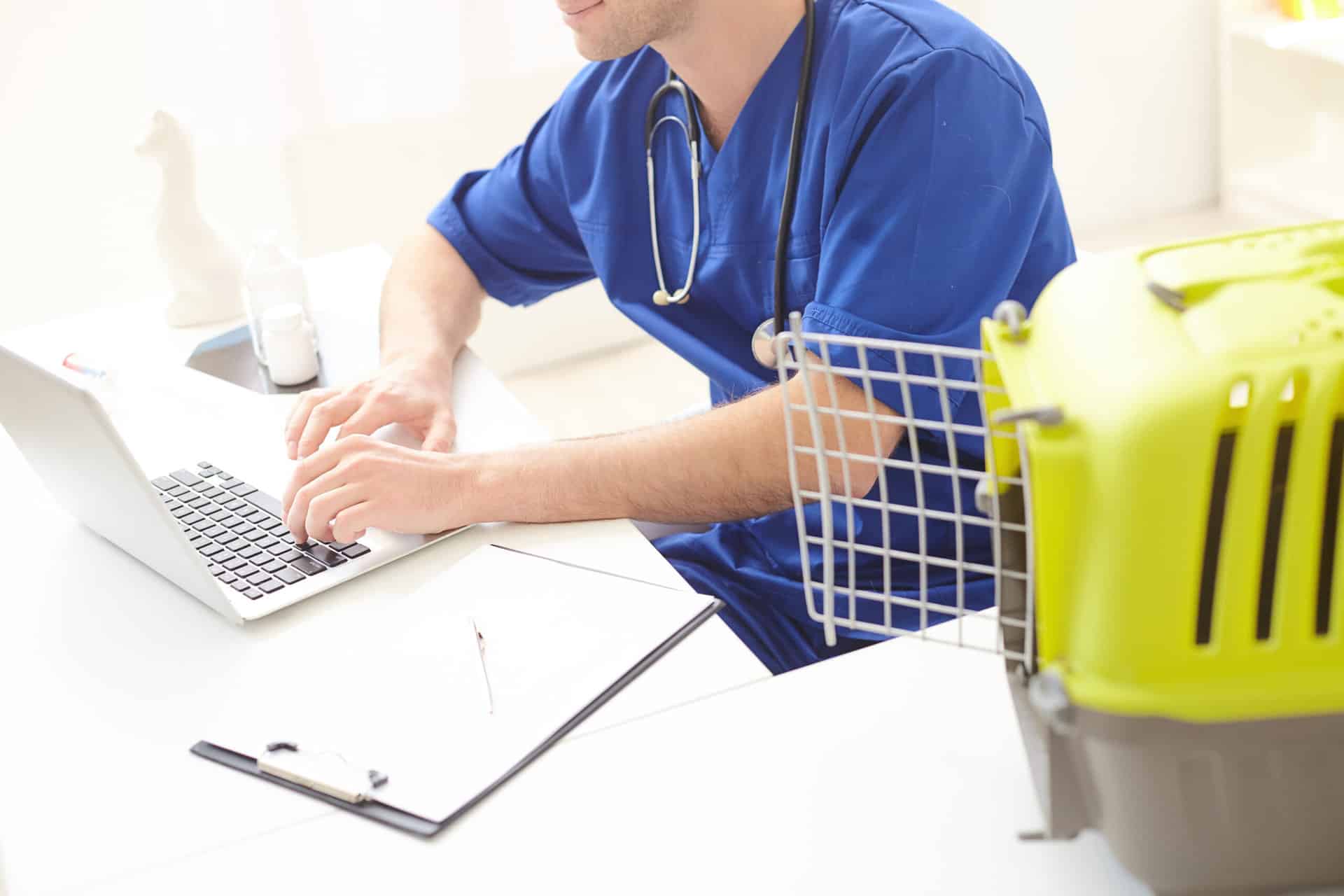 Veterinary practice team with vet and nurse reviewing patient records